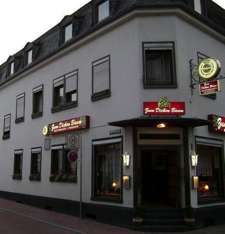 Hotel Zum Dicken Baum Mayen Exterior photo